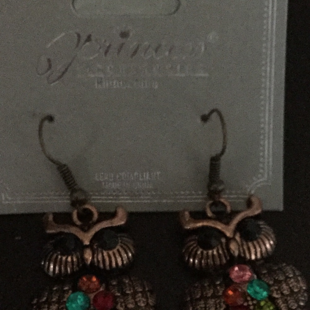 Princess Accessories Owl Earrings - Picture 6 of 6